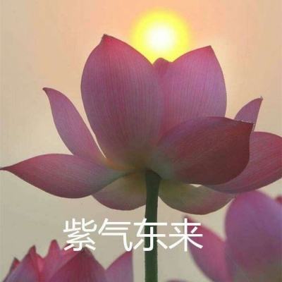 小重山·春到长门春草青